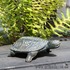 0001_6330_Skildpaddefigur-havedesign